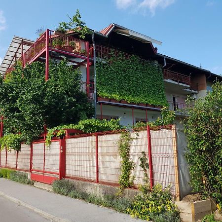 Ljubljana'S Terrace Liubliana Exterior foto